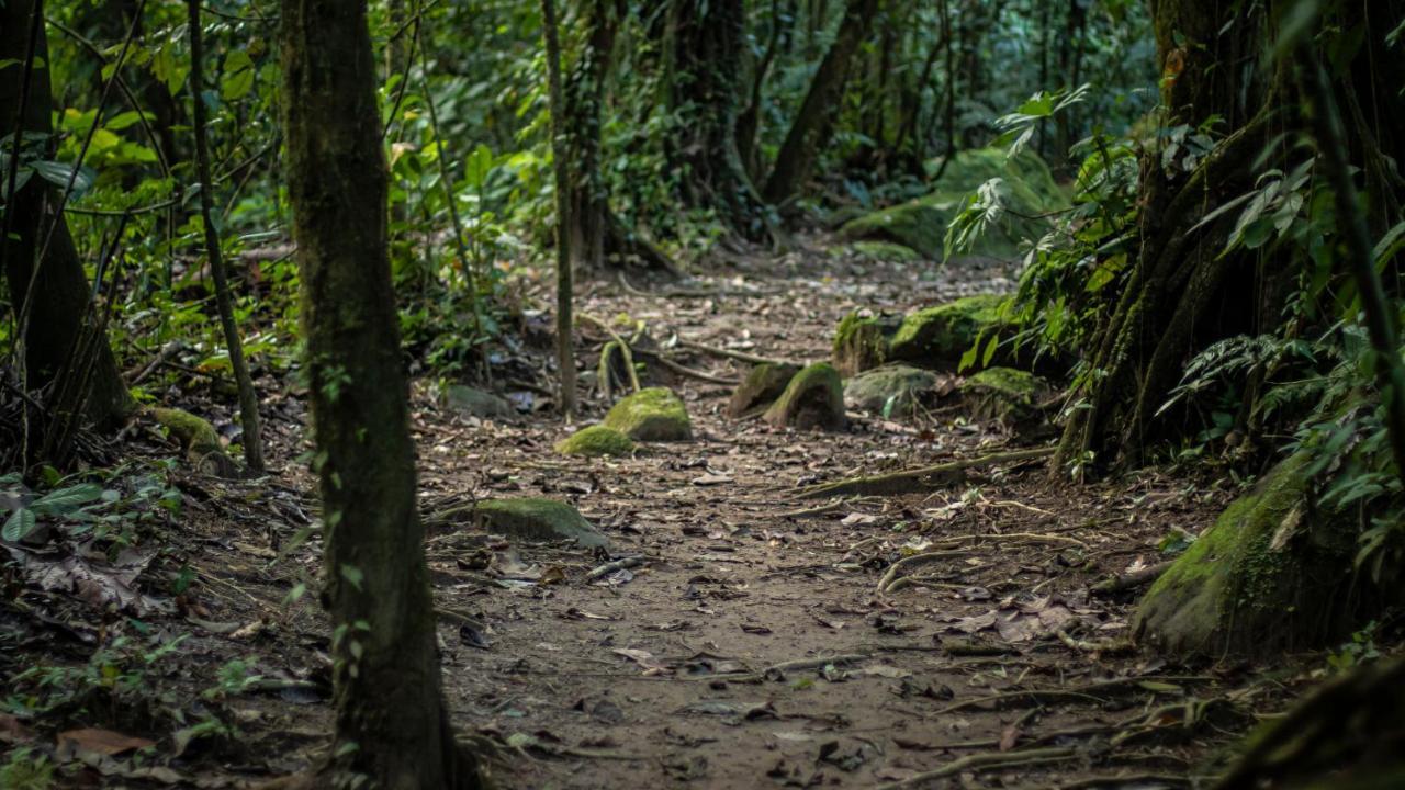 Hotel Rancho Cerro Azul La Fortuna Zewnętrze zdjęcie